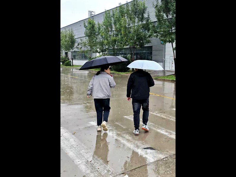 Planta de VE en el norte de China · camino a la nave